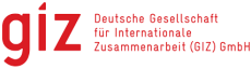 GIZ logo