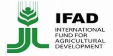 IFAD logo