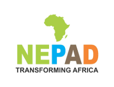 NEPAD logo