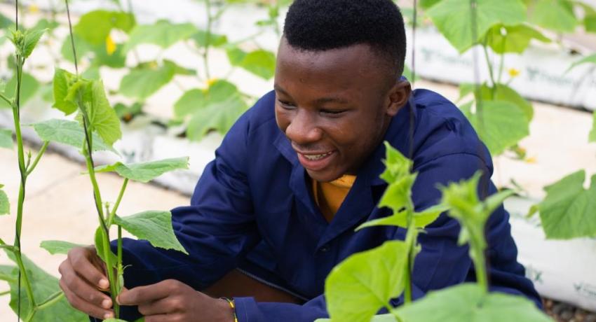 Livelihoods Diversification and Support Project (LDSP)
