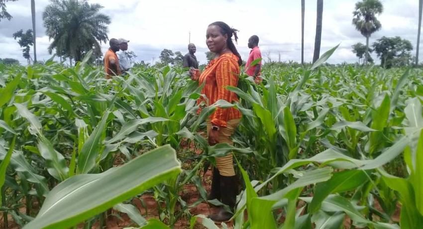 Smallholder Inclusive Productivity and Market Access (SIPMA)
